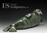 19" SIGNATURE Basking Walrus by Jimmy Iqaluq *Henry*