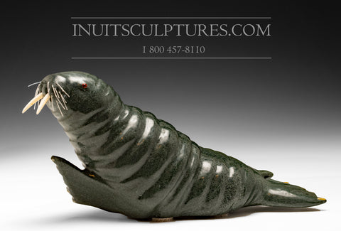 13" Dark Green Basking Walrus by Famous Jimmy Iqaluq