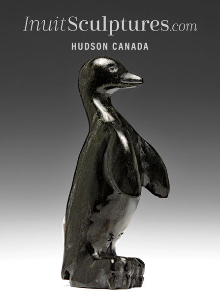 4" Penguin by Kelly Etidloie  *Visitor from the South Pole*