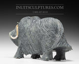 15" Exclusive Treasured Muskox by Lucassie Ikkidluaq