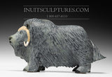 15" Exclusive Treasured Muskox by Lucassie Ikkidluaq