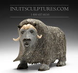 8" Bronze / Grey Iconic Masterpiece Muskox by Lucassie Ikkidluaq