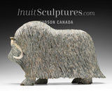 14" SIGNATURE Muskox by Lucassie Ikkidluak  *Glint*