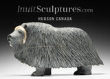 18" SIGNATURE Muskox by Lucassie Ikkidluaq *Capra*