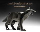 16" Wolf by Matt Flaherty *Chatter Box*