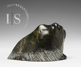 4"  Resting Muskox by Pudlalik Shaa *Repose*