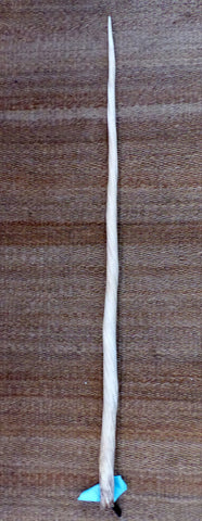 51" Narwhal Tusk