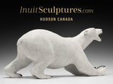 15" Rare Open Mouth Polar Bear by Paul Malliki  *Rory* CURATOR'S CHOICE