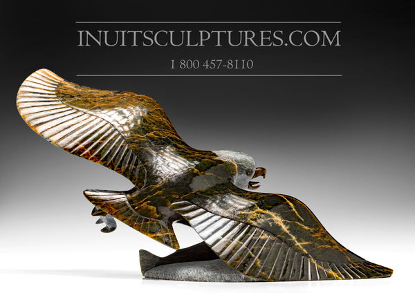 12" Brown Eagle with Fish by Pitseolak Qimirpik