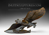 12" Brown Eagle with Fish by Pitseolak Qimirpik