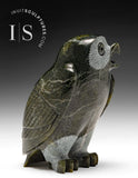 6" SIGNATURE Owl by Pitseolak Qimirpik *Juniper*