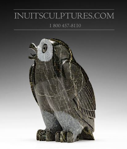 6.5" Owl by Pitseolak (Pits) Qimirpik