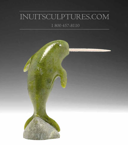 8" Narwhal by Pitseolak Qimirpik *Ollie*