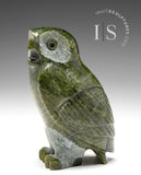 5" SIGNATURE Owl by Pitseolak Qimirpik *Shamrock*