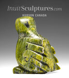 5" SIGNATURE Green Owl by Sam Qiatsuk *Perky*