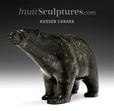 10" SIGNATURE Walking Bear by Tim Pee  *Molly*