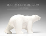 16" Striking Marble Walking Bear by Tuk Nuna